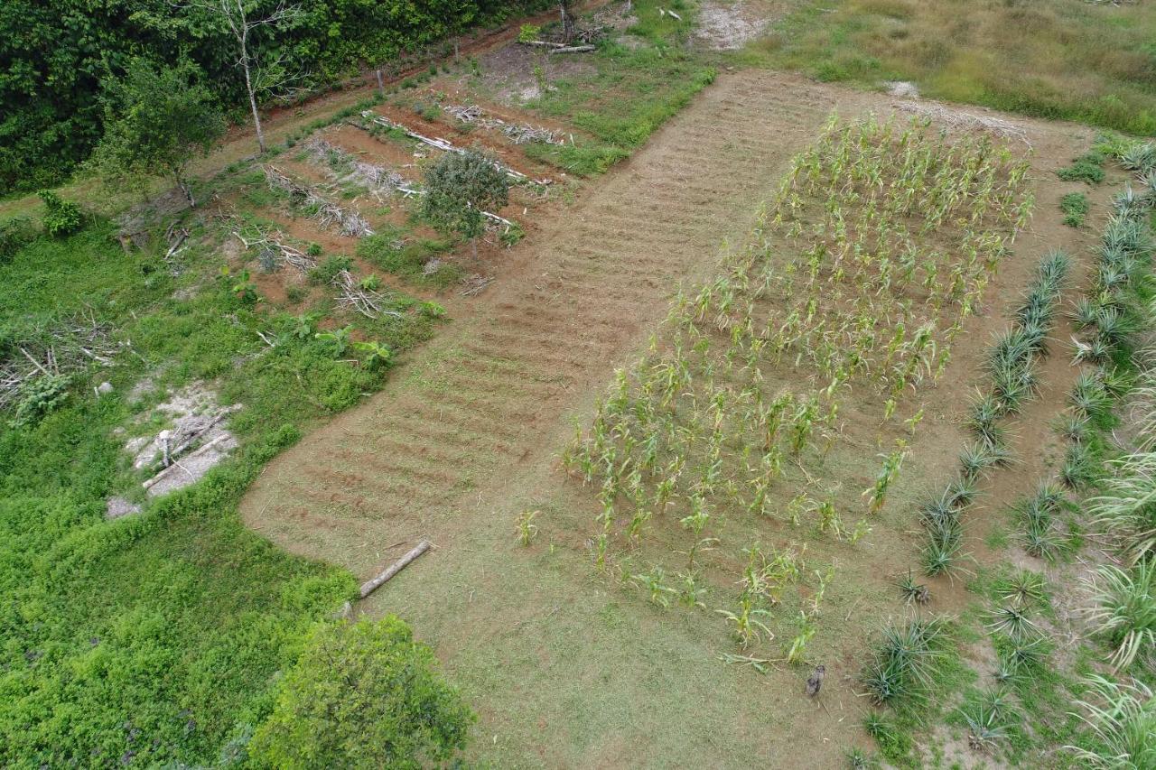 Hope Garden, Sarapiqui, We Connect You With The Sarapiqui Tropical Forest المظهر الخارجي الصورة