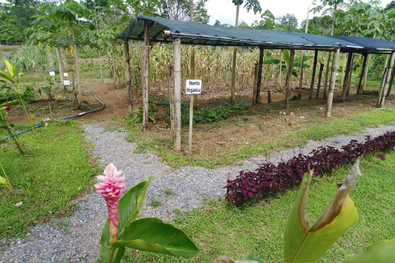 Hope Garden, Sarapiqui, We Connect You With The Sarapiqui Tropical Forest المظهر الخارجي الصورة