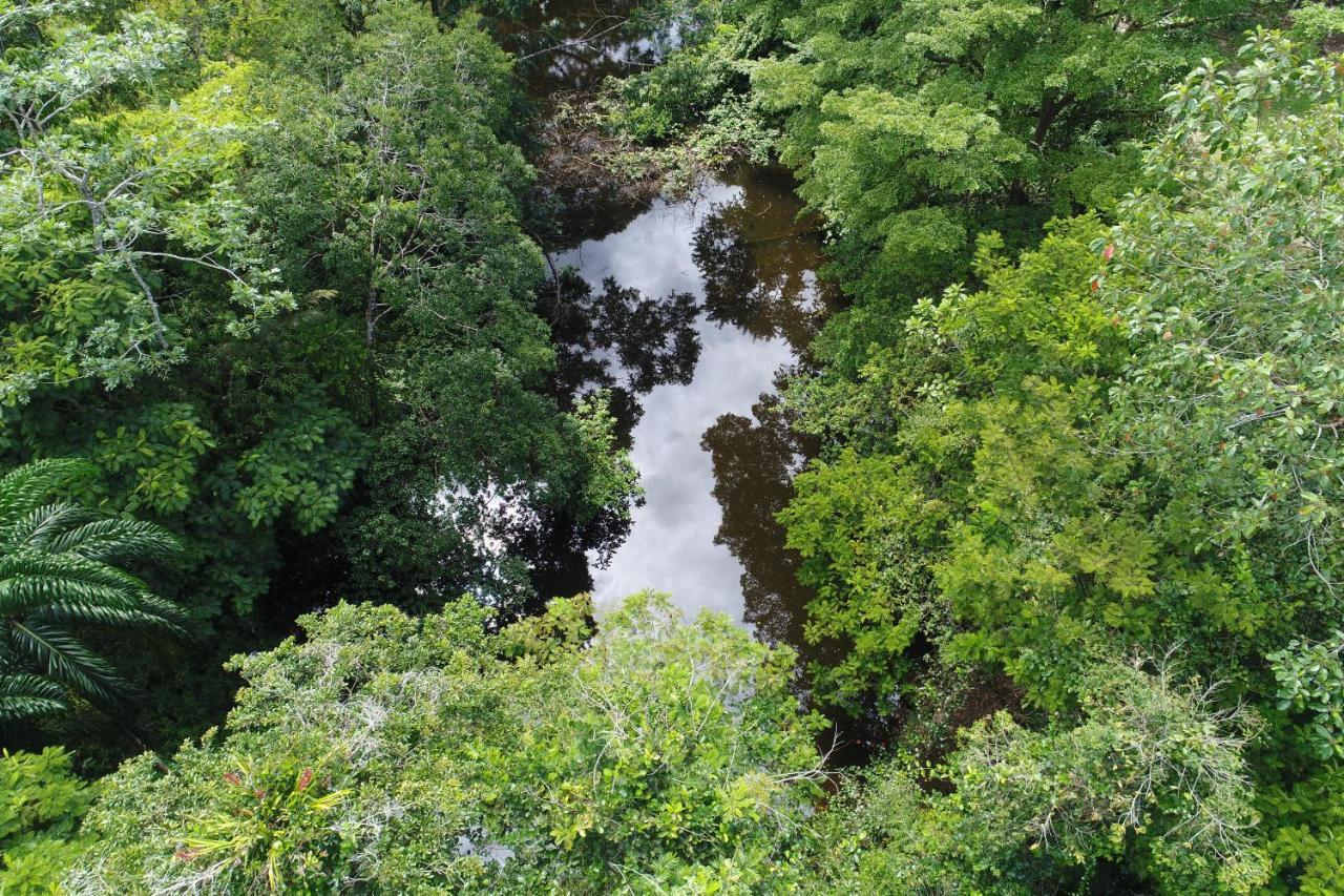 Hope Garden, Sarapiqui, We Connect You With The Sarapiqui Tropical Forest المظهر الخارجي الصورة