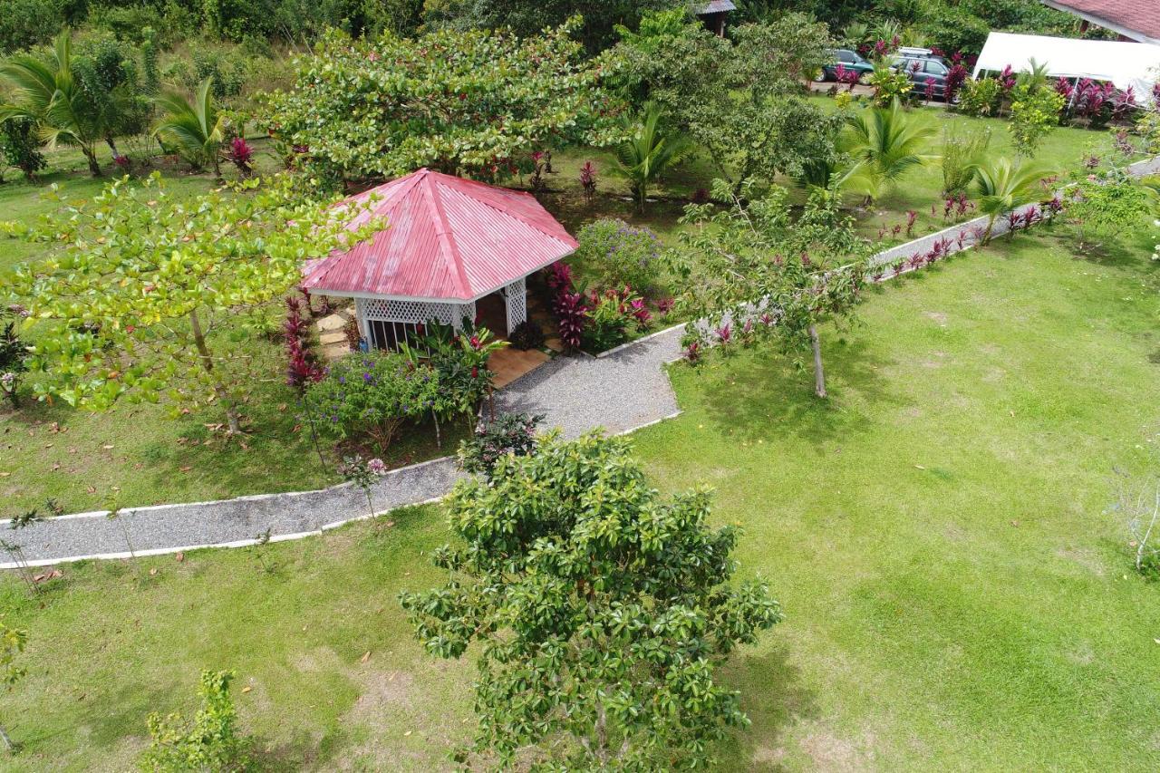 Hope Garden, Sarapiqui, We Connect You With The Sarapiqui Tropical Forest المظهر الخارجي الصورة