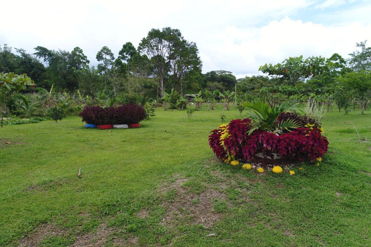 Hope Garden, Sarapiqui, We Connect You With The Sarapiqui Tropical Forest المظهر الخارجي الصورة