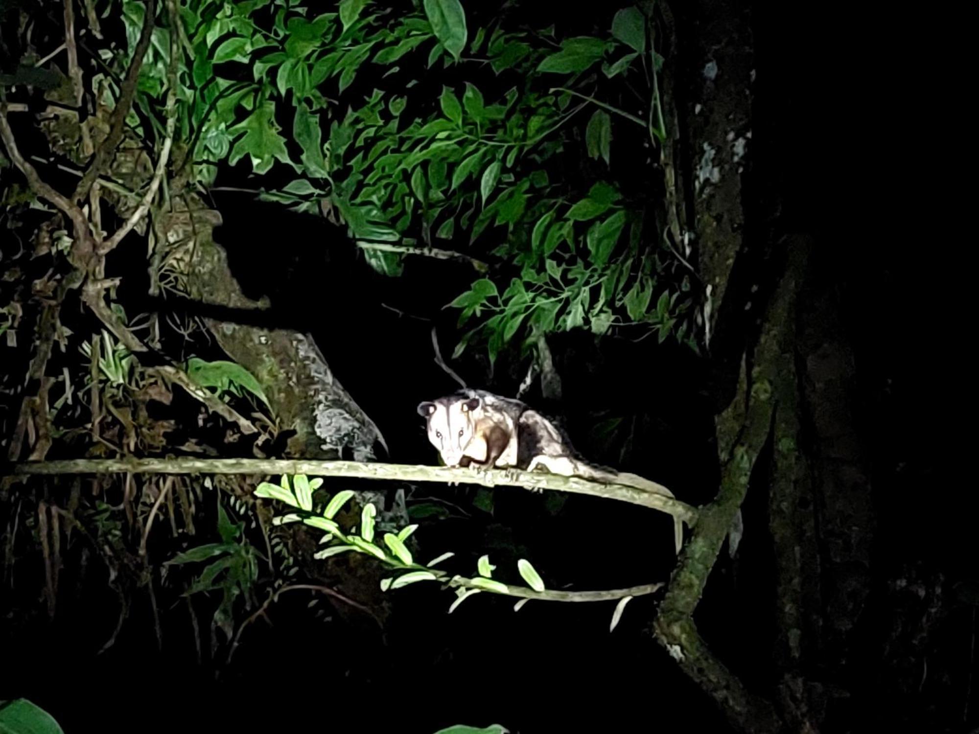 Hope Garden, Sarapiqui, We Connect You With The Sarapiqui Tropical Forest المظهر الخارجي الصورة