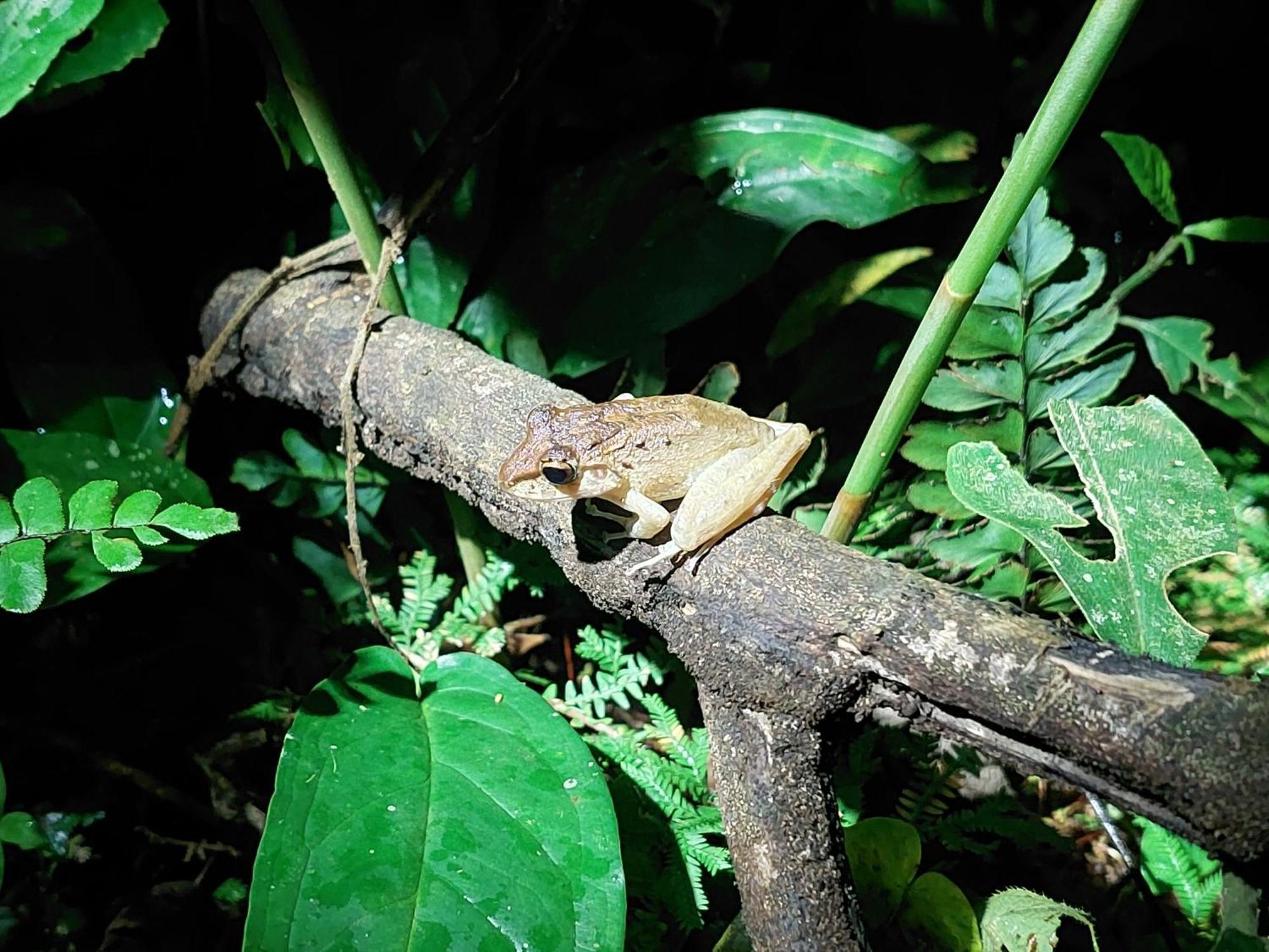 Hope Garden, Sarapiqui, We Connect You With The Sarapiqui Tropical Forest المظهر الخارجي الصورة