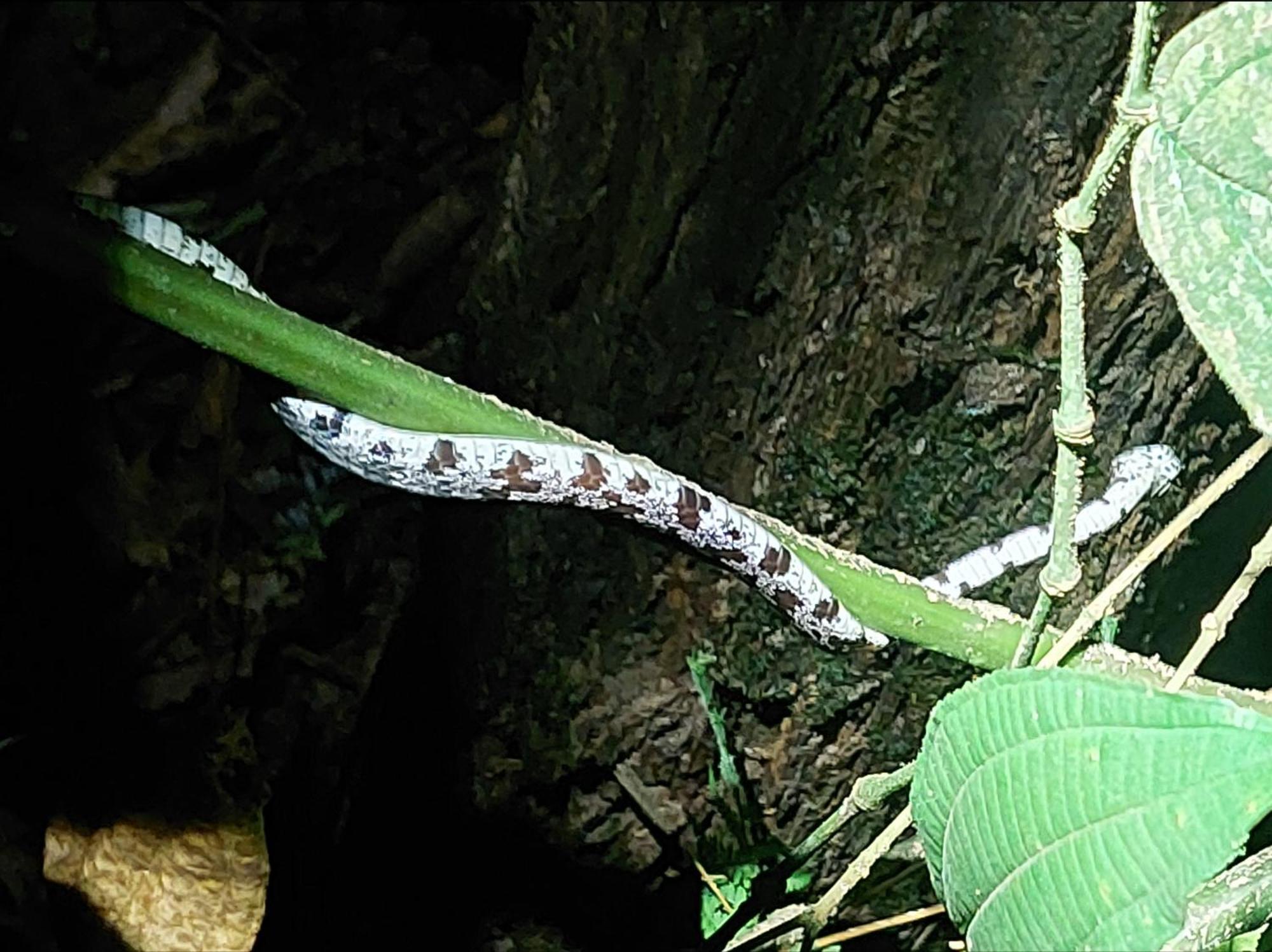 Hope Garden, Sarapiqui, We Connect You With The Sarapiqui Tropical Forest المظهر الخارجي الصورة