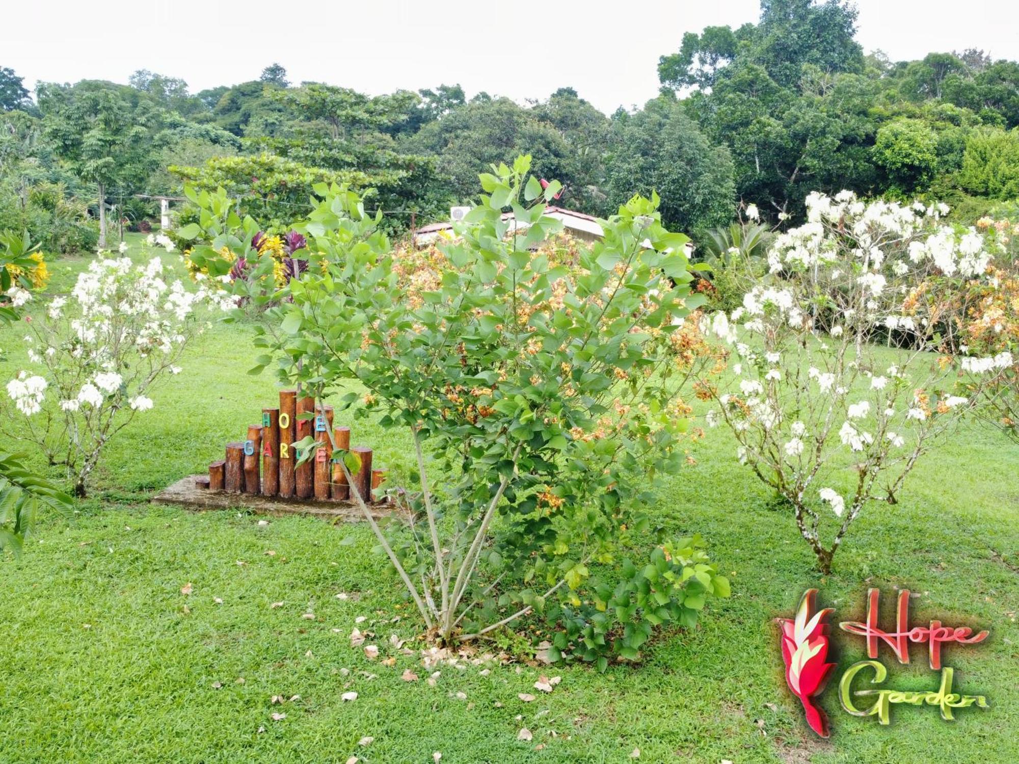 Hope Garden, Sarapiqui, We Connect You With The Sarapiqui Tropical Forest المظهر الخارجي الصورة