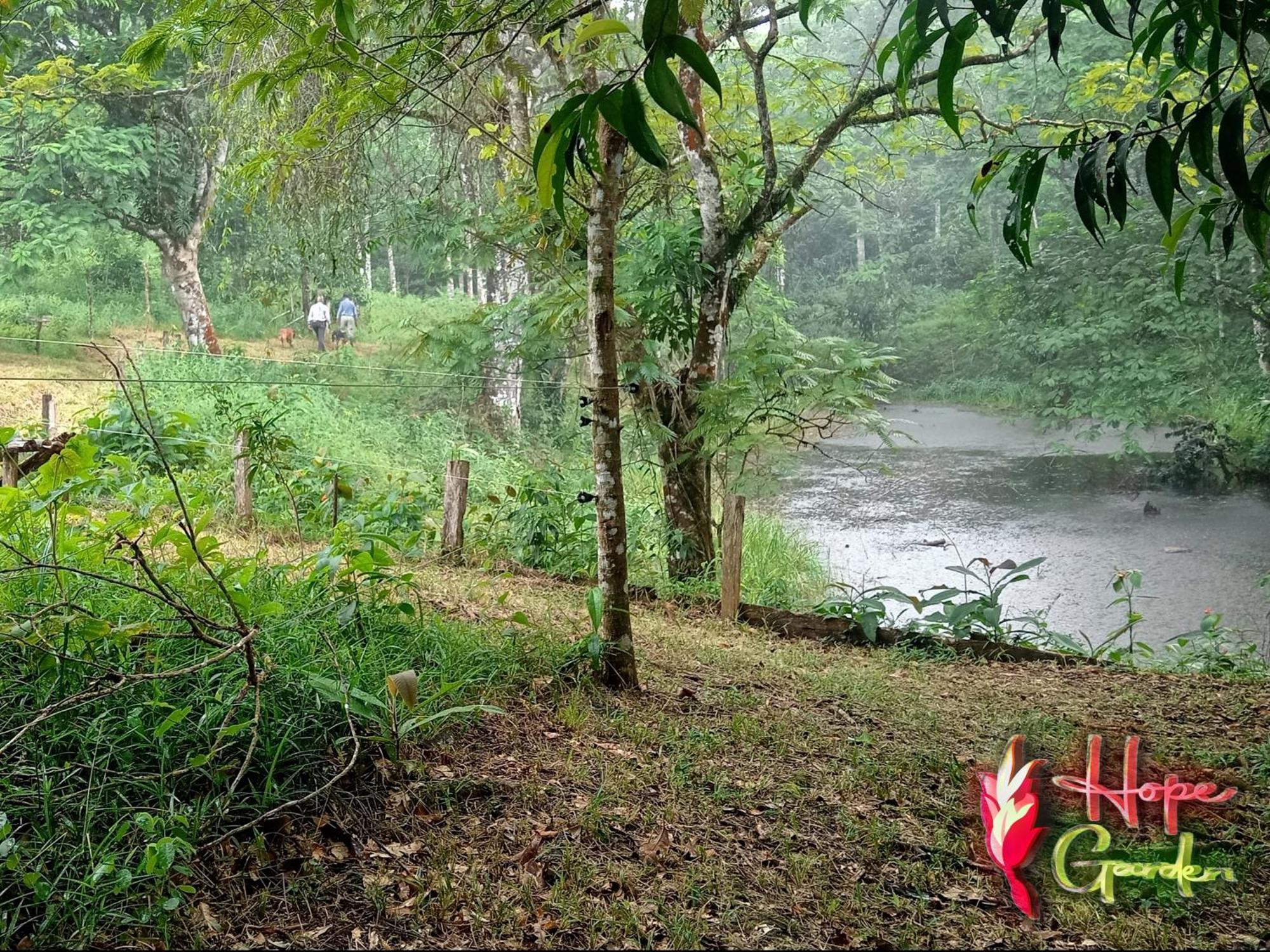 Hope Garden, Sarapiqui, We Connect You With The Sarapiqui Tropical Forest المظهر الخارجي الصورة