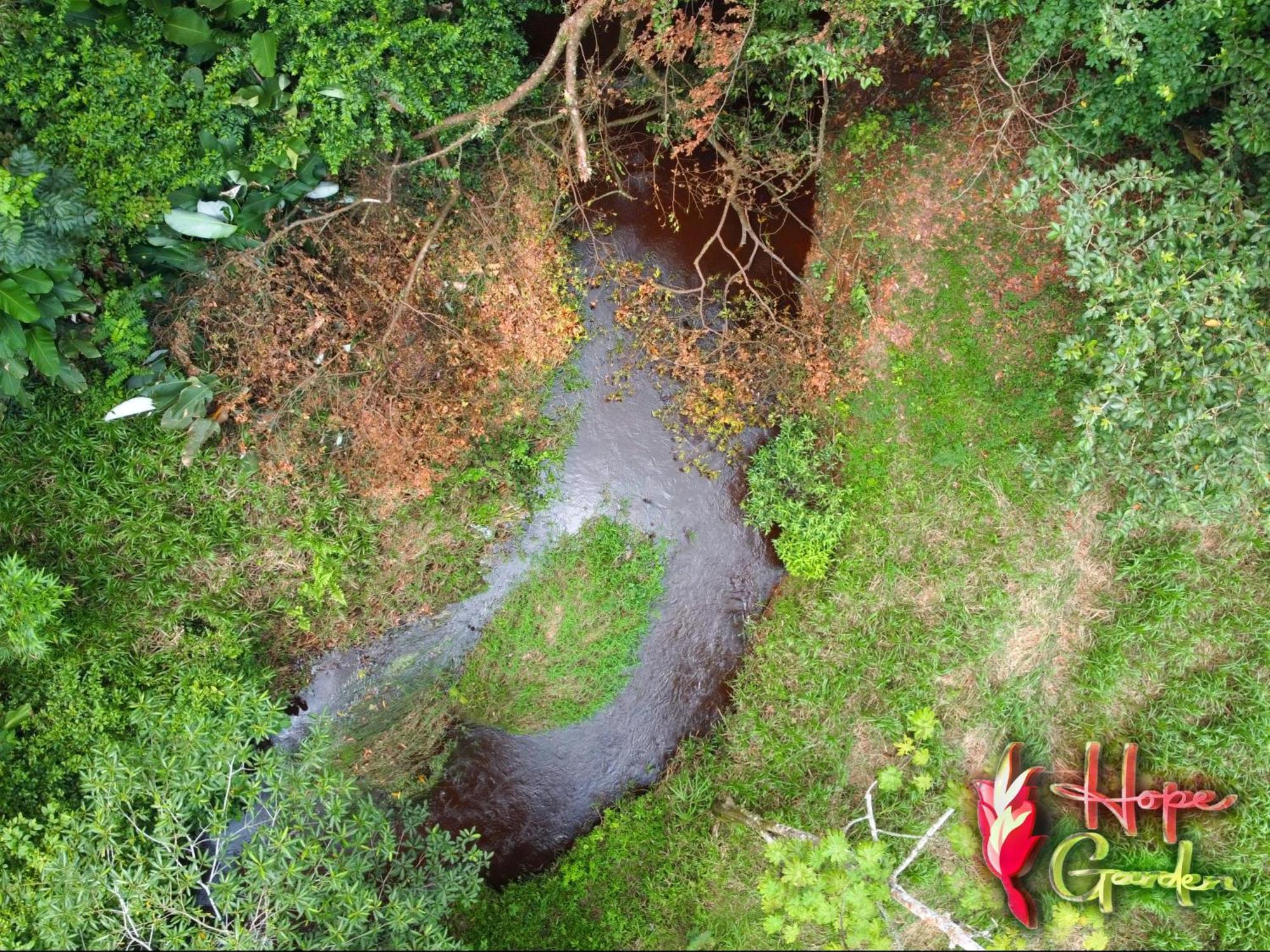 Hope Garden, Sarapiqui, We Connect You With The Sarapiqui Tropical Forest المظهر الخارجي الصورة