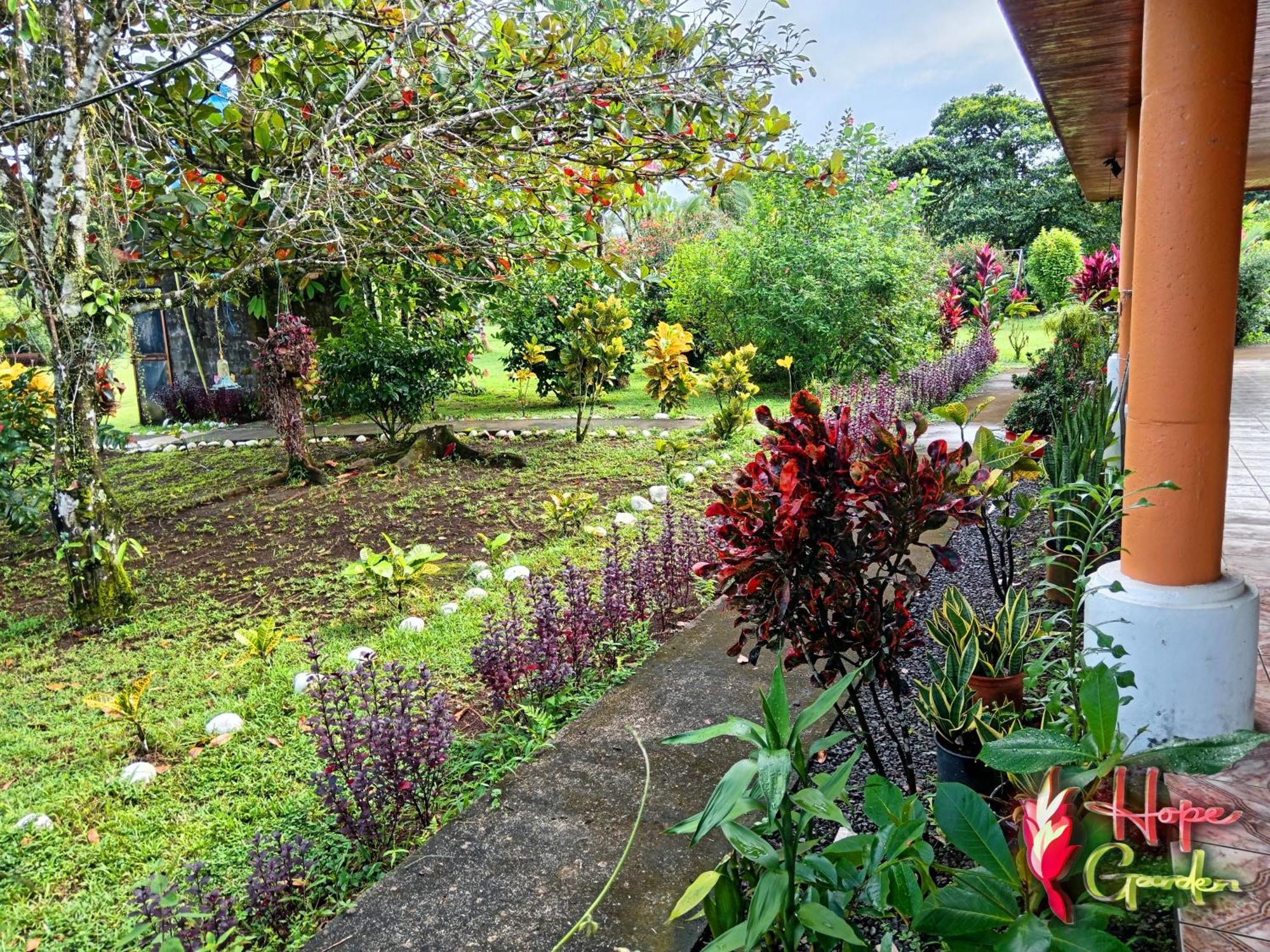 Hope Garden, Sarapiqui, We Connect You With The Sarapiqui Tropical Forest المظهر الخارجي الصورة